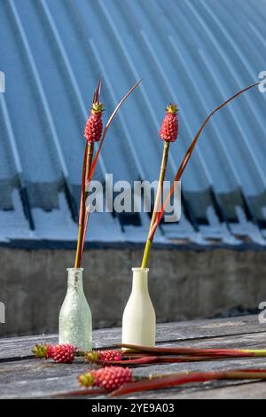 Ein stilvolles Arrangement tropischer roter Blumen in Glasvasen sitzt auf einem Holztisch, und ein verwittertes Metalldach verleiht dem Außenbereich Charme. Stockfoto