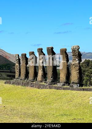 Eine Reihe von Moai-Statuen in Ahu Akivi auf der Osterinsel in Chile, die vor einem klaren blauen Himmel stehen. Diese alten Figuren sind für das Leben von Rapa Nui von Bedeutung Stockfoto