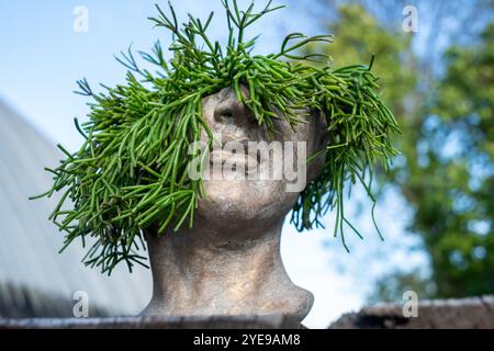 Eine einzigartige Skulptur zeigt ein menschenähnliches Gesicht, das mit lebhaftem grünen Laub verziert ist und Natur und Kunst harmonisch in einem ruhigen Gartenbereich vereint. Stockfoto