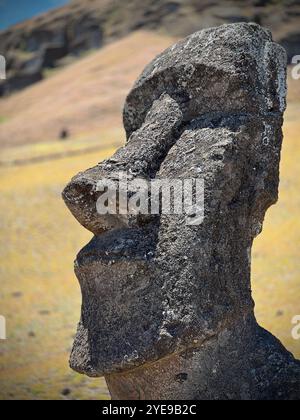 Nahaufnahme einer verwitterten Moai-Statue auf der Osterinsel, Chile, die ihre alte Steinstruktur vor einer natürlichen Landschaft mit Rapa Nui hervorhebt. Stockfoto