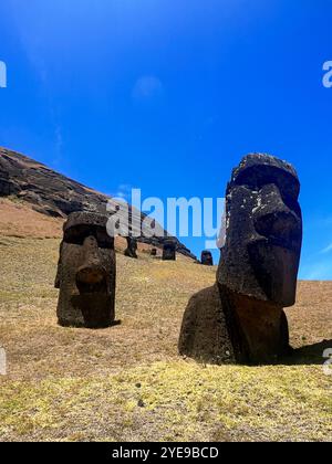 Die Moai-Statuen im Steinbruch Rano Raraku auf der Osterinsel in Chile stehen vor einem blauen Himmel. Dieses UNESCO-Weltkulturerbe repräsentiert das antike Leben in Rapa Nui Stockfoto