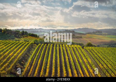 Weinberge in Castellina in Chianti im Herbst, Toskana, Italien Stockfoto