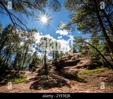 Das verborgene Juwel der Les Demoiselles Coiffees, manchmal auch als Feenkamine bekannt, Beduin, Provence, Frankreich Stockfoto