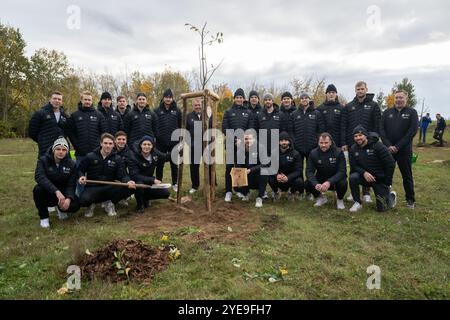 30. Oktober 2024, Brandenburg, Oberkrämer/OT Bötzow: Eisbären Berlin-Spieler stehen bei der Eröffnung des „Berliner Ruhmwaldes“ vor einem neu gepflanzten Baum zusammen. Im Fame Forest wird ein Baum für jeden Künstler gepflanzt, der in einer Uber Eats Arena auftritt. Fast 13.000 Bäume wurden bereits in und um Hamburg gepflanzt. Foto: Christophe Gateau/dpa Stockfoto