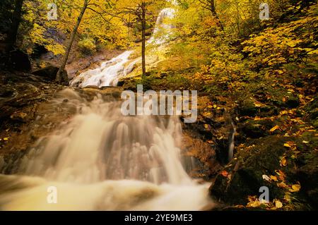 Beulach Ban Falls am Aspy River mit Herbstlaub im Cape Breton Highlands National Park, Nova Scotia, Kanada; Nova Scotia, Kanada Stockfoto