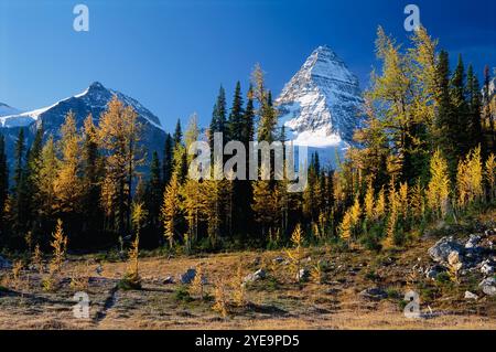 Der Mount Assiniboine ist mit Schnee bedeckt im Mount Assiniboine Provincial Park in BC, Kanada; British Columbia, Kanada Stockfoto