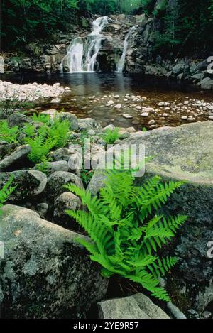 Wunderschöne Landschaft mit Vegetation, Felsen und Wasserfällen an den Mary Ann Falls im Cape Breton Highlands National Park in Nova Scotia Stockfoto