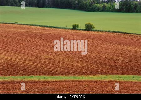 Farmland in der Nähe von Park Corner Queens County, P.E.I., Kanada Stockfoto