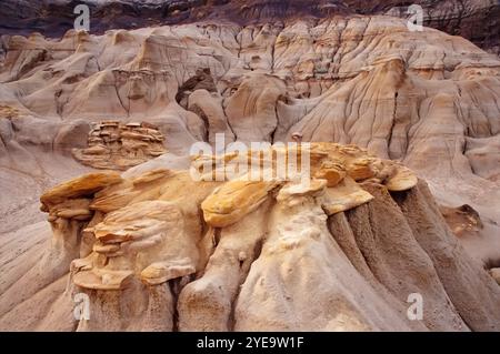 Hoodoos in den Badlands von Alberta, südlich von Drumheller, Kanada; Alberta, Kanada Stockfoto