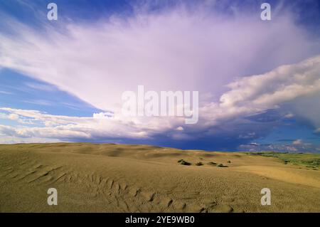 Große Sandhügel, Sanddünen mit Wolkenformationen über der weiten Landschaft in der kanadischen Provinz Saskatchewan; Saskatchewan, Kanada Stockfoto