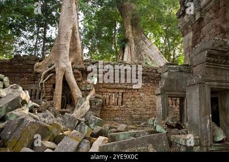 Ruinen von Ta Prohm, einem buddhistischen Tempel in Angkor mit Zerstörung durch Baumwuchs; Angkor, Siem Reap, Kambodscha Stockfoto