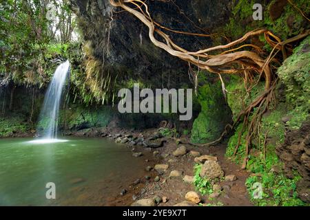 Twin Falls am Hana Highway, Maui, Hawaii, USA; Maui, Hawaii, Vereinigte Staaten von Amerika Stockfoto