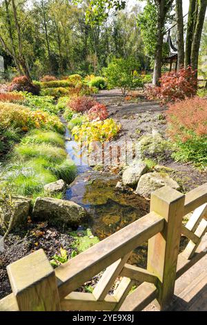 Qing Yin Pavillon (chinesischer Musikpavillon) im Chinese Streamside Garden, RHS Bridgewater Garden, Greater Manchester, England, Großbritannien Stockfoto