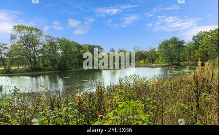 Ellesmere Lake, RHS Bridgewater Garden, Worsley in Salford, Greater Manchester, England, UK Stockfoto