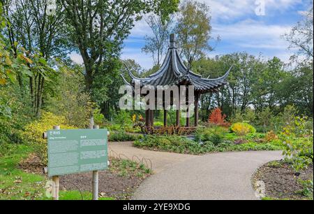 Qing Yin Pavillon (chinesischer Musikpavillon) im Chinese Streamside Garden, RHS Bridgewater Garden, Greater Manchester, England, Großbritannien Stockfoto