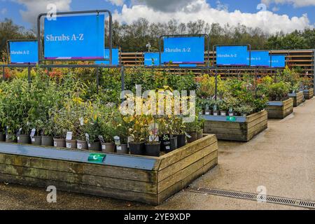 Schilder für Sträucher A bis Z zum Verkauf im Gartencenter des RHS Bridgewater Garden, Worsley in Salford, Greater Manchester, England, Großbritannien Stockfoto