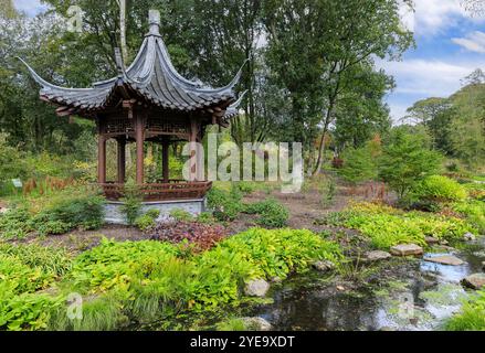 Qing Yin Pavillon (chinesischer Musikpavillon) im Chinese Streamside Garden, RHS Bridgewater Garden, Greater Manchester, England, Großbritannien Stockfoto