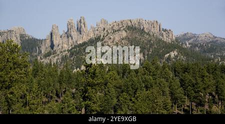 Große, zerklüftete Granitfelsen vom Needles Highway, South Dakota, USA. Der Needles Highway ist eine 22 km lange Straße, die durch spr... Stockfoto