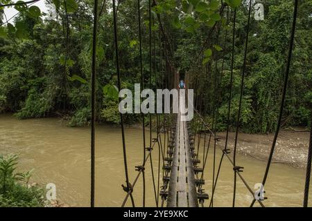 Erkunden Sie den Dschungel und gehen Sie auf einer Hängebrücke über einen Fluss im Gunung Mulu Nationalpark, Borneo, Malaysia; Sarawak, Borneo, Malaysia Stockfoto