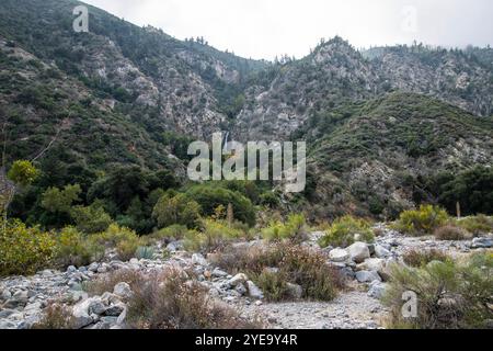 Bonita Falls im Lytle Creek Valley der San Gabriel Mountains im San Bernardino National Forest Stockfoto