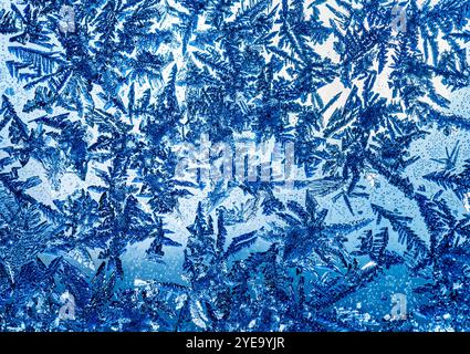 Extreme Nahaufnahme von Frostmustern auf Glas mit blauem Ton; Calgary, Alberta, Kanada Stockfoto