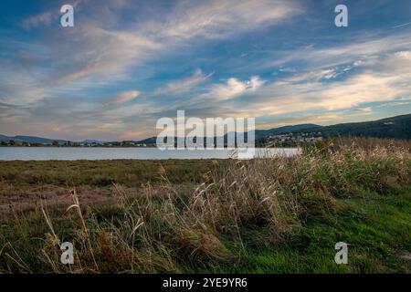 Schilf wächst am Rande eines Feuchtgebiets mit wunderschönen Sonnenuntergang-farbigen Wolken. Natur, Ökologie und Umwelt. Stockfoto