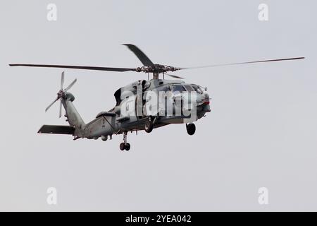 Seilwindenausbildung am Marinestützpunkt El Ferrol (Arsenal von Ferrol), Spanien, mit einem Hubschrauber der spanischen Marine Sikorsky SH-60 Seahawk, Registrierung 01-1011. Stockfoto