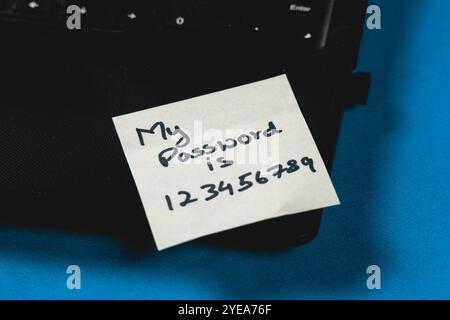 Easy Password-Konzept. Mein Passwort 123456789 steht auf einem Papier mit Marker. Dieses Passwort wird normalerweise von älteren Menschen verwendet, was sie anfällig macht Stockfoto