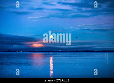 Vollmonduntergang über einem ruhigen See mit dem Mondstrahl, der sich auf der Wasseroberfläche spiegelt, und Silhouettenvögel fliegen über den wolkenreichen Himmel Stockfoto