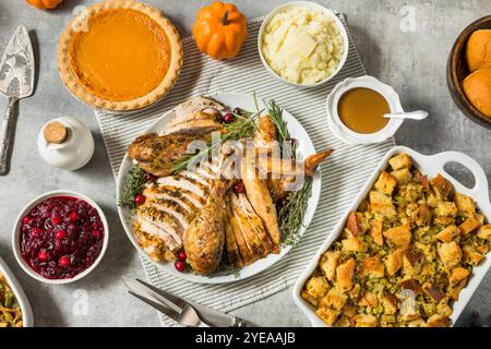 Festtage Thanksgiving Truthahn Dinner Teller mit allen Seiten Stockfoto