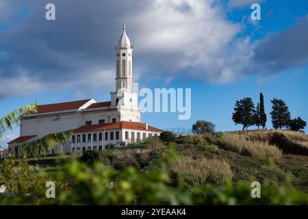 Kirche Sao Martinho (Kirche St. Martin) in Funchal auf der Insel Madeira, Portugal; Funchal, Madeira, Portugal Stockfoto