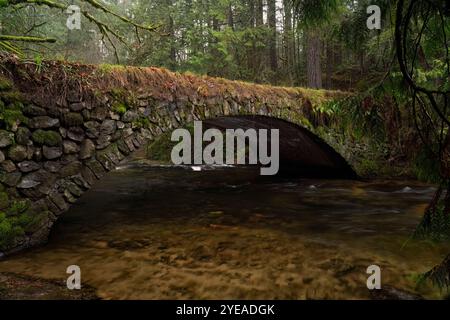 Atmosphärischer Blick auf die moosbedeckte Shawnigan Creek Stone Bridge in Mill Bay; Mill Bay, Vancouver Island, British Columbia, Kanada Stockfoto