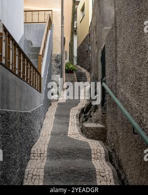 Schmaler Gang mit dekorativen Pflastersteinen zwischen Wohngebäuden in Paul do Mar auf der Insel Madeira, Portugal Stockfoto