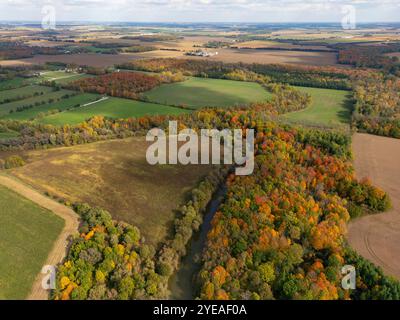 Ontario Herbstfarben im Herbst. Lebendige Bäume schaffen eine wunderschöne Farbpalette von Künstlern. Luftaufnahme mit den Straßen, die durch die... Stockfoto