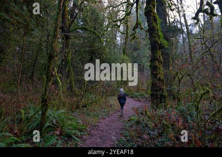 Frau, die durch den üppigen Regenwald des Goldstream Provincial Park auf Vancouver Island spaziert. In einer Welt voller Grün kann man sich leicht verirren Stockfoto