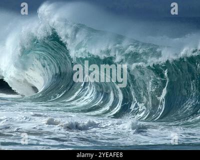 Spektakuläres, riesiges Wellen-Wellen-Curling und -Gips mit schaumigem Spray an der Nordküste von Oahu; Oahu, Hawaii, USA Stockfoto