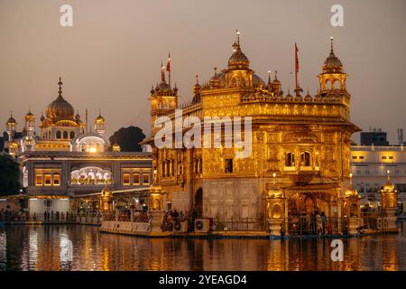 Goldener Tempel, ein Sikh Gurdwara mit Wasserbecken in der Dämmerung, in Amritsar, Punjab, Indien; Amritsar, Punjab, Indien Stockfoto