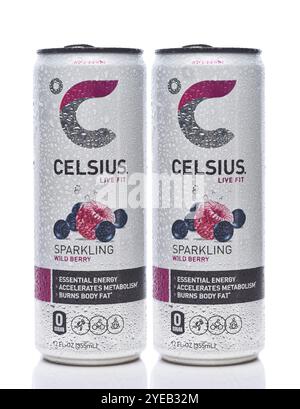 IRVINE, KALIFORNIEN - 30. Oktober 2024: Zwei Dosen Celsius Live Fit Wild Berry Sparkling Energy Drink. Stockfoto