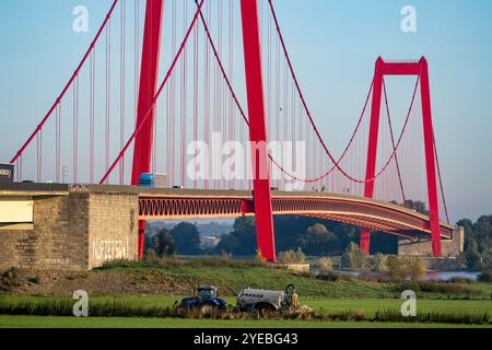 Die Rheinbrücke Emmerich, Bundesstraße B220, längste Hängebrücke Deutschlands, wird derzeit saniert, Brückenbeschädigung, Landwirt mit Tracto Stockfoto