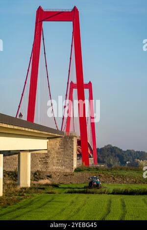 Die Rheinbrücke Emmerich, Bundesstraße B220, längste Hängebrücke Deutschlands, wird derzeit saniert, Brückenbeschädigung, Landwirt mit Tracto Stockfoto