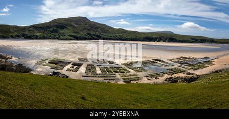 Panormama-Foto einer Muschelfarm im wunderschönen gelben Sandstrand bei Ebbe an der Nordwestküste Schottlands in der Nähe von Cape Wrath Stockfoto