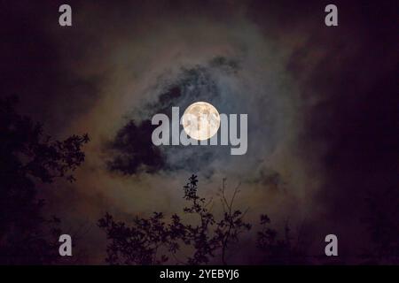 Vollmond. Stockfoto