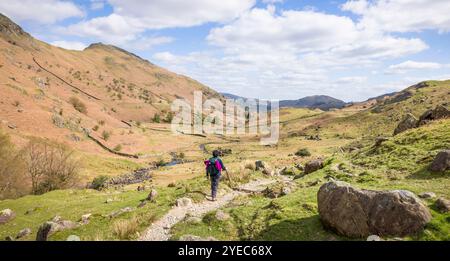 Asiatische indische Wanderer, die im Frühling auf einem Wanderweg in einem Tal spazieren gehen. Far Easedale Gill, Grasmere, Lake District, Großbritannien Stockfoto