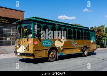 Saint John, NB, Kanada - 11. September 2024: Busse des Reiseunternehmens Aquila bieten Landausflüge in der Region Saint John an, um Kreuzfahrtpassagiere zu erreichen, die in Port Sa ankommen Stockfoto