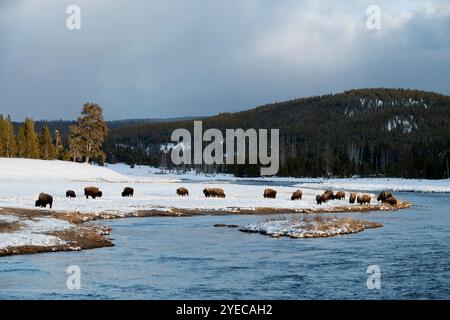 Yellowstone-Nationalpark, Winter, Wyoming Stockfoto