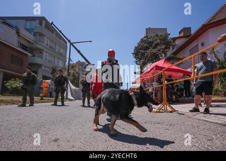 Villa Gesell, Argentinien - 30. Oktober 2024: Die Such- und Rettungsaktionen auf dem einstürzenden Hotelgelände in Villa Gesell werden fortgesetzt, wo Rettungsteams unermüdlich daran arbeiten, potenzielle Überlebende zu lokalisieren und die von dem Vorfall Betroffenen zu retten. Der unerwartete Zusammenbruch des Gebäudes hat Rettungsdienste aus der ganzen Region mobilisiert, und die Behörden drängen auf Vorsicht in der Gegend, da Ermittlungen zur Ursache im Gange sind. Foto: Salvador Parente / UNAR Photo Stockfoto