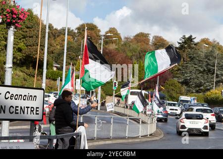 Protest gegen Völkermord in gaza mit palästinensischen Flaggen letterkenny, County donegal, republik irland Stockfoto