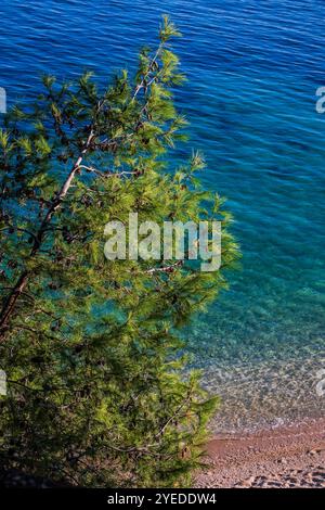 Brac, Kroatien. 30. Oktober 2024. Touristen werden am 30. Oktober 2024 am Strand Zlatni Rat (Goldenes Horn) in der Nähe von Bol auf der kroatischen Adria-Insel Brac gesehen, etwa 60 km von Split entfernt. Foto: Zvonimir Barisin/PIXSELL Credit: Pixsell/Alamy Live News Stockfoto