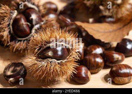 Holztisch voll mit süßen Kastanien, spitzen Graten und Herbstblättern, Früchten aus den Wäldern und Wäldern Italiens Stockfoto