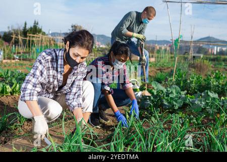 Menschen tragen Gesichtsmaske zur Vorbeugung Corona Virus und Pflege von Pflanzen im Garten Stockfoto